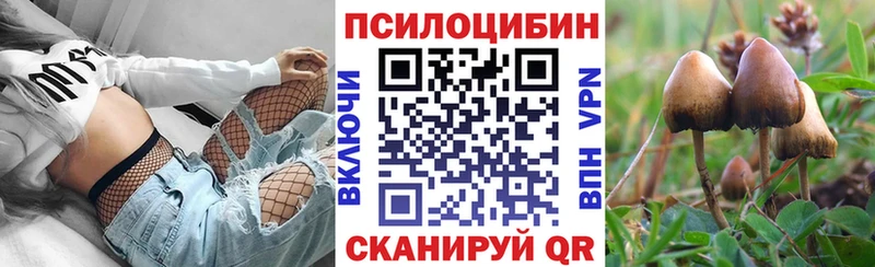 Псилоцибиновые грибы Magic Shrooms  площадка клад  Полесск 
