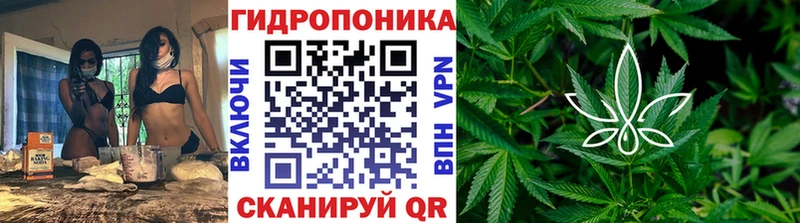 закладка  Полесск  Канабис тримм 